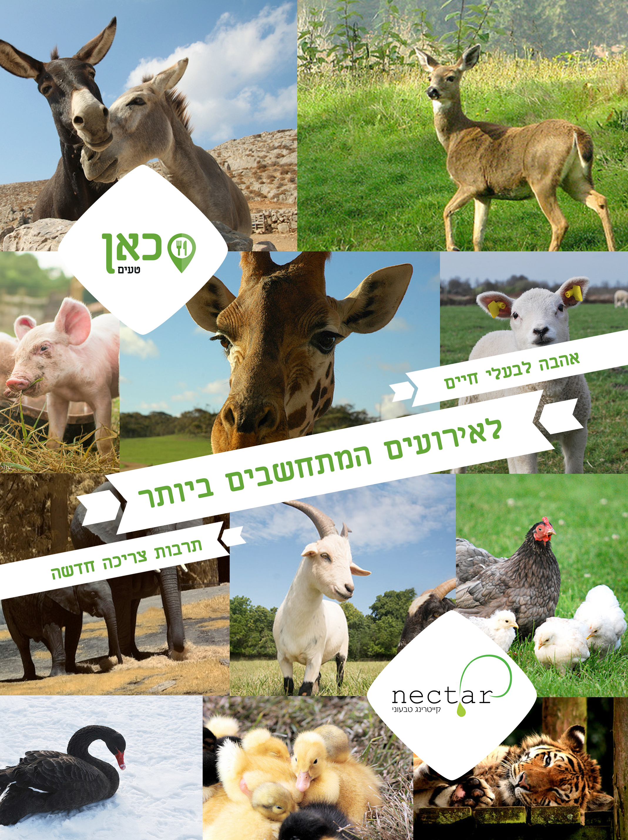 כנס מפיק 2015